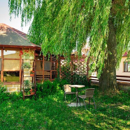 Hotel Zolota Pidkova Kozlin المظهر الخارجي الصورة